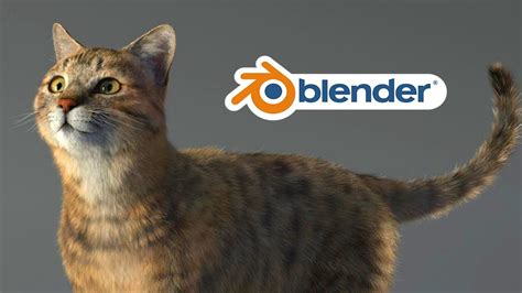 cats blender